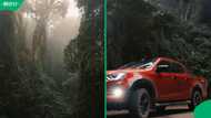 “This is breathtaking”: Mzansi stunned by Instagram video of secret Limpopo jungle