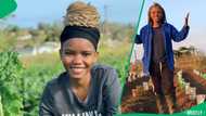"This is magic": Young farmer saves chilli farm using recycled materials and creativity, SA wowed
