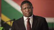 Fikile Mbalula wants motorists to pay R250 just to register online