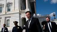 Musk guts X's election integrity teams ahead of major votes