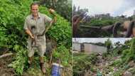 “Too brave”: Nick Evans' bravery hailed after daunting task, catches black mamba