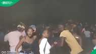 "What level of fun is this?": SA questions suspiciously high energy levels at local groove