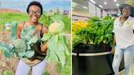 “You go girl”: Mzansi inspired by ambitious young farmer who landed a supply contract