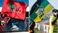 ANC-EFF alliance is disintegrating as negotiations for Ekurhuleni mayor position reach stalemate