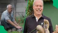 "Enough to mess up your day": Pretoria gent shares scary black mamba rescue operation