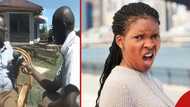 Video of Kenyan man harshly ordering wife to fetch fermented milk resurfaces