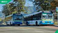 “A great initiative”: SA impressed by George Municipality’s free bus programme for job seekers