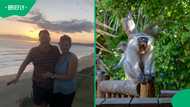 Couple fights off aggressive monkeys at Kruger picnic site