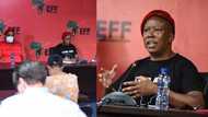 EFF believes Durban is a racist name for the city and wants it changed