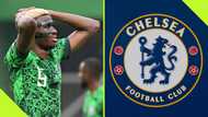 Chelsea halts pursuit of Osimhen, set to announce signing of another Nigerian star