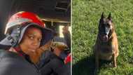 KZN Floods: Policewoman and police dog die during search and rescue mission, more than 30 cops displaced