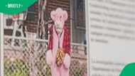 Pink Panther costume sighting raises alarm after reports of children being followed