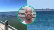 Cape Town man in TikTok video claiming he recorded moving giants has SA debating sighting