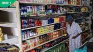 R28.55 a day for food: South Africa's new poverty line reveals harsh reality