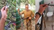 5 Mambas in 1 day: Snake catcher, Nick Evans, breaks personal record and risks life and limb