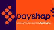 How does PayShap work in South Africa? All you need to know