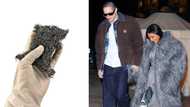 Steel wool and foil: Kim Kardashian's shiny coat resembles household items, says SA