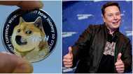 Dogecoin prices soar after Elon Musk announces plan to develop cryptocurrency