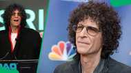 Breaking down Howard Stern's net worth and income sources in 2025