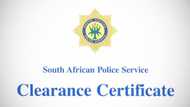 Express police clearance South Africa: All you need to know