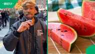 American compares SA and US watermelons, sparks debate on organic vs genetically modified fruit