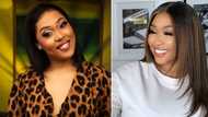 SA celeb widows Simz Ngema & Ayanda Ncwane give Connie Ferguson advice