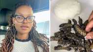 Woman's step-by-step guide to cooking mopani worms amasses 5.3 million views