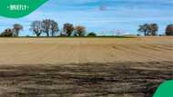 Discover how to own land in South Africa for under R100k: Affordable options in Gauteng and Western Cape