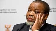 Gwede Mantashe gets his COVID vaccine, Mzansi has savage reactions