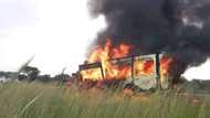 Limpopo car crash: 17 burnt to death on N1 after head on collision