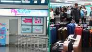 3 000 FlySafair passengers lose luggage, ACSA's failure makes travellers arrive empty-handed