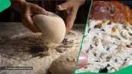 Mopane worm bread recipe in TikTok video stuns South Africa