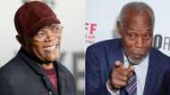 Samuel L Jackson, Danny Glover in line to receive honorary Oscar awards