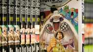 ChatGPT turns to manga in 'One Piece' author experiment