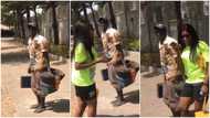 Video shows shoemaker entertaining lady with sweet beats using a wooden box