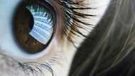 How AI 'revolution' is shaking up journalism