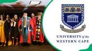 UWC application status check: all the important details