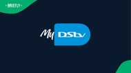 MultiChoice to phase out popular app after shutting down Showmax