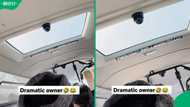 "Owner is dramatic": Unusual surveillance camera inside SA minibus taxi leaves Mzansi in stitches