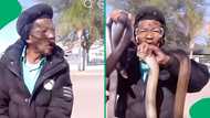 "This man is really brave": Mzansi stunned as man casually handles three mole snakes with no fear