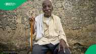 Kraaifontein pensioner Turns R350 Sassa Grant into a r20,000 micro-Farm