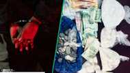 Nigerian national arrested as police seize drugs worth over R440k in Durban