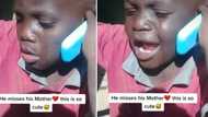 Little boy missing his mother breaks Mzansi's heart as he asks for her to return back home in emotional video