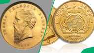 Top 10 most valuable South African coins (with images and infographic)