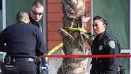 'Law and Order: Organized Crime' crew member shot and killed while filming, police on the hunt for suspects
