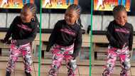 Mini influencer shakes social media up with energetic dance to 'Yebo Lapho'