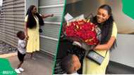 "This is beautiful": Pretoria couple shows his and hers of powerful German cars as wife gets Audi Q3