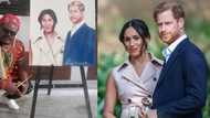 Rasta's unique portrait of Prince Harry and Meghan Markle puzzles SA