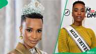 New pic of Zozibini Tunzi in bold red dress has SA going wild: “She looks ‘sweet 16’”