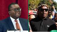 "Good Riddance": Ngizwe Mchunu celebrates Thulasizwe Buthelezi's removal by King Misuzulu